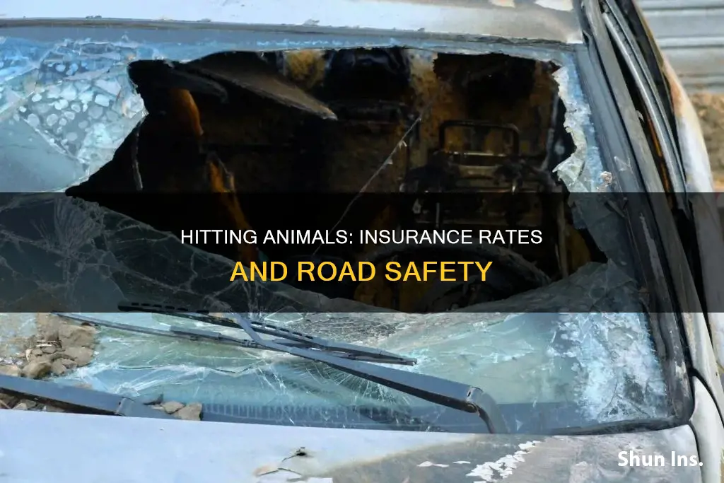 does your insurance go up if you hit an animal