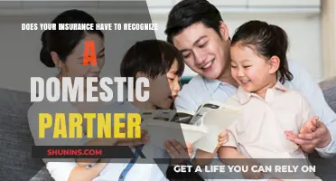 Domestic Partnership Benefits: Does Your Insurance Recognize Your Partner?