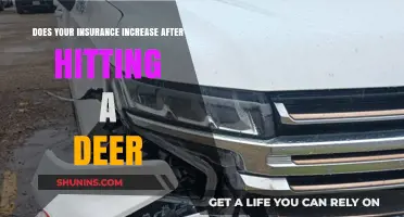 Will Hitting a Deer Cause Your Car Insurance Premiums to Rise?