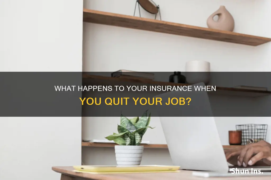 does your insurance stay active when you quit your job