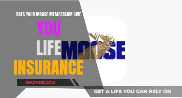 Moose Membership: Life Insurance Benefits and Beyond