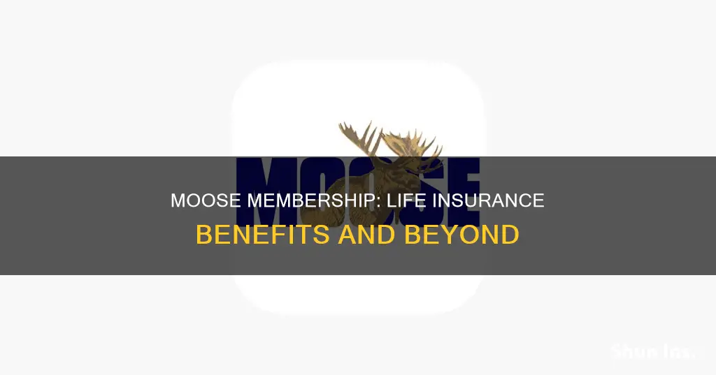 does your moose membership give you life insurance