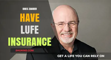 Does Zander Offer Life Insurance? Exploring Coverage Options and Benefits