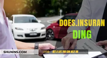 Car Insurance Premiums: Small Dings, Big Costs