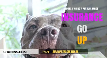 Pit Bulls: Insurance Premiums and Liability