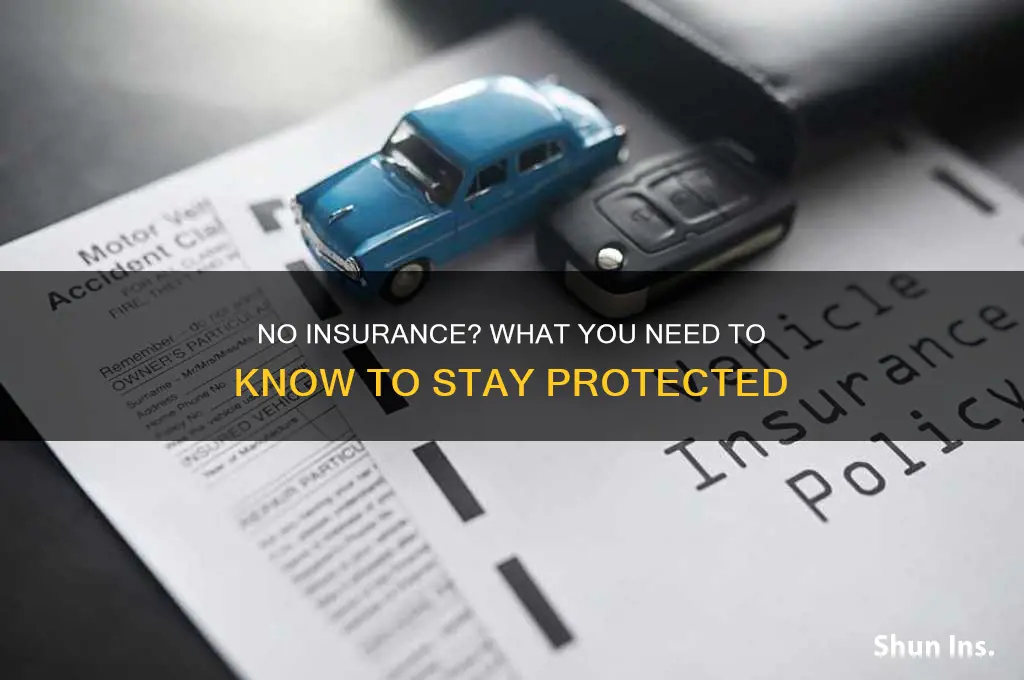 doesn t have insurance
