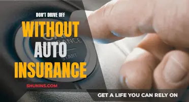 Auto Insurance: Don't Risk Driving Without It