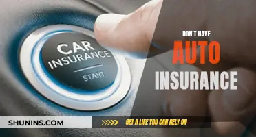 Uninsured and Unwise: The Risks of Driving Without Auto Insurance