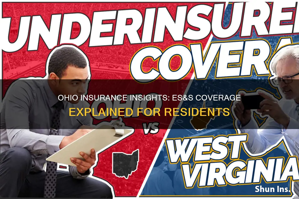 es&s ohio insurance