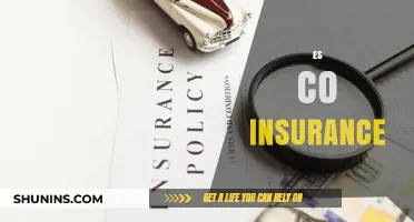 Understanding ES Co-Insurance: Benefits, Coverage, and Cost-Saving Strategies