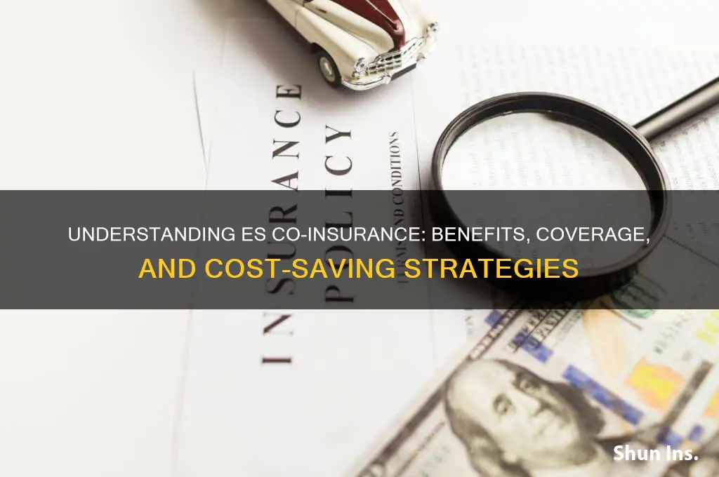 es co insurance