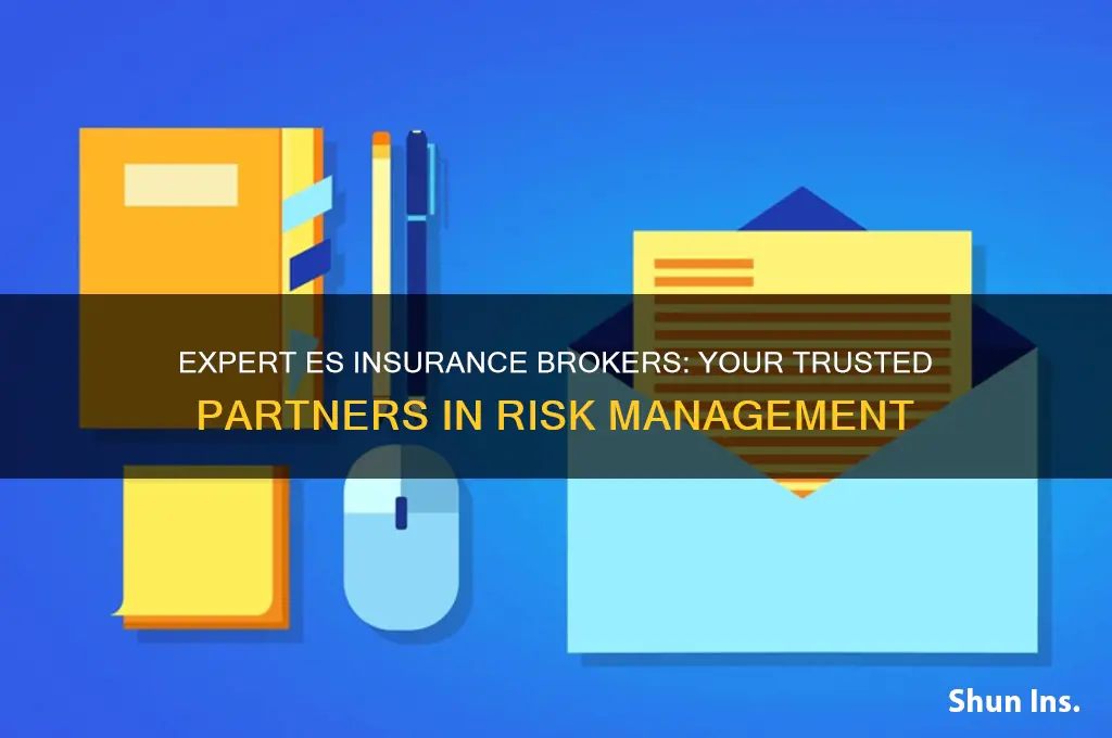 es insurance brokers