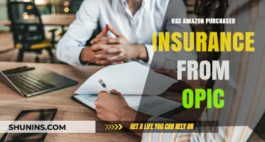 Amazon's OPIC Insurance Purchase: Fact or Fiction?