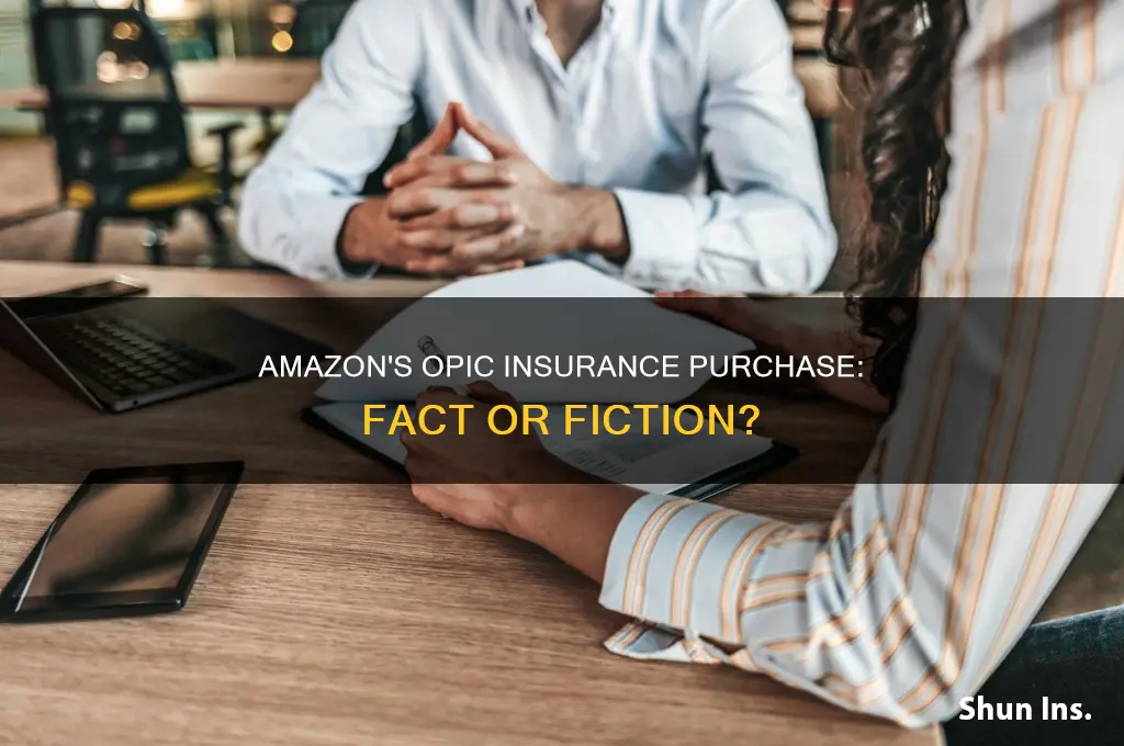 has amazon purchased insurance from opic