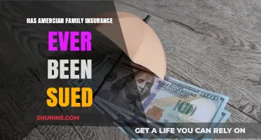 Has American Family Insurance Faced Lawsuits? A Detailed Examination