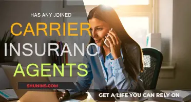 How Carrier Insurance Agents Can Help You