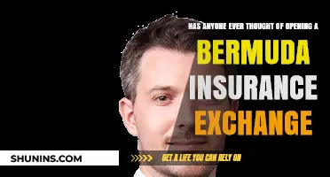 Bermuda: The Next Insurance Hub?