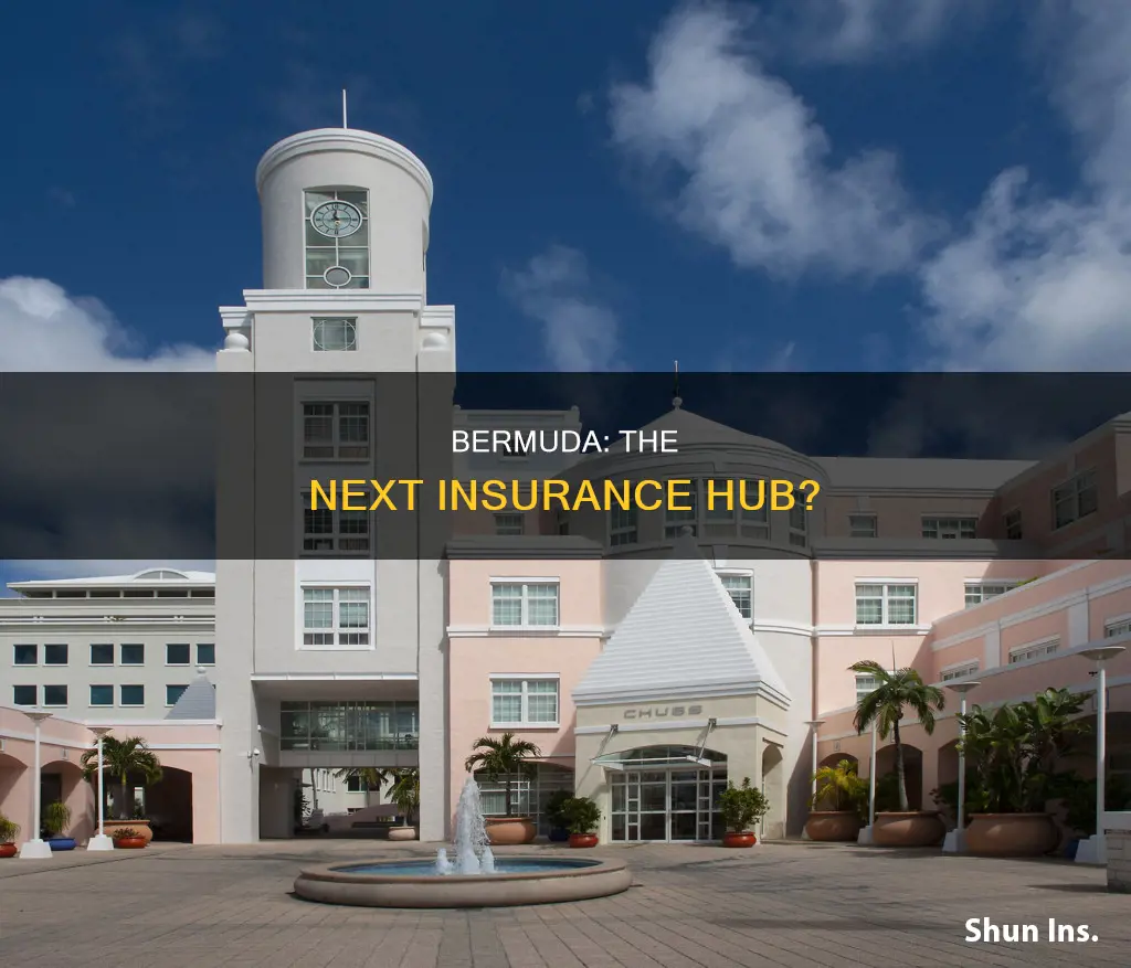 has anyone ever thought of opening a bermuda insurance exchange