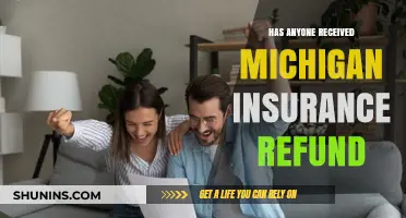 Michigan Insurance Refunds: Who's Received Them and How Much?
