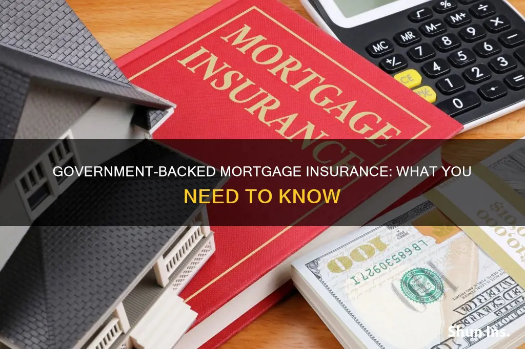 has government pass mortgage insurance