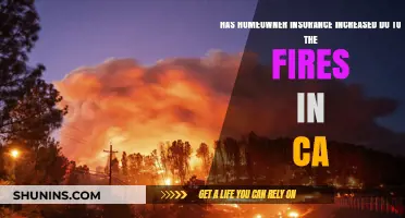 Homeowner Insurance Rates Surge Amid California Wildfires