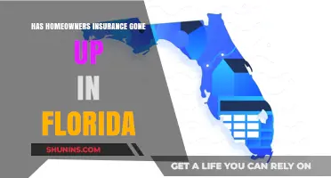 Florida Homeowners Insurance: Rising Costs and Challenges