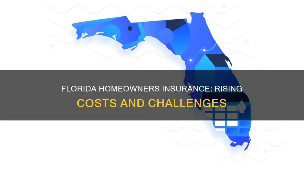 has homeowners insurance gone up in Florida