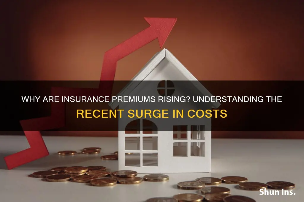has insurance gone up