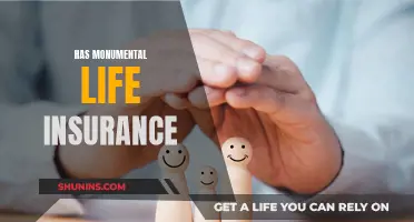 Life Insurance: Monumental's Comprehensive Coverage Benefits