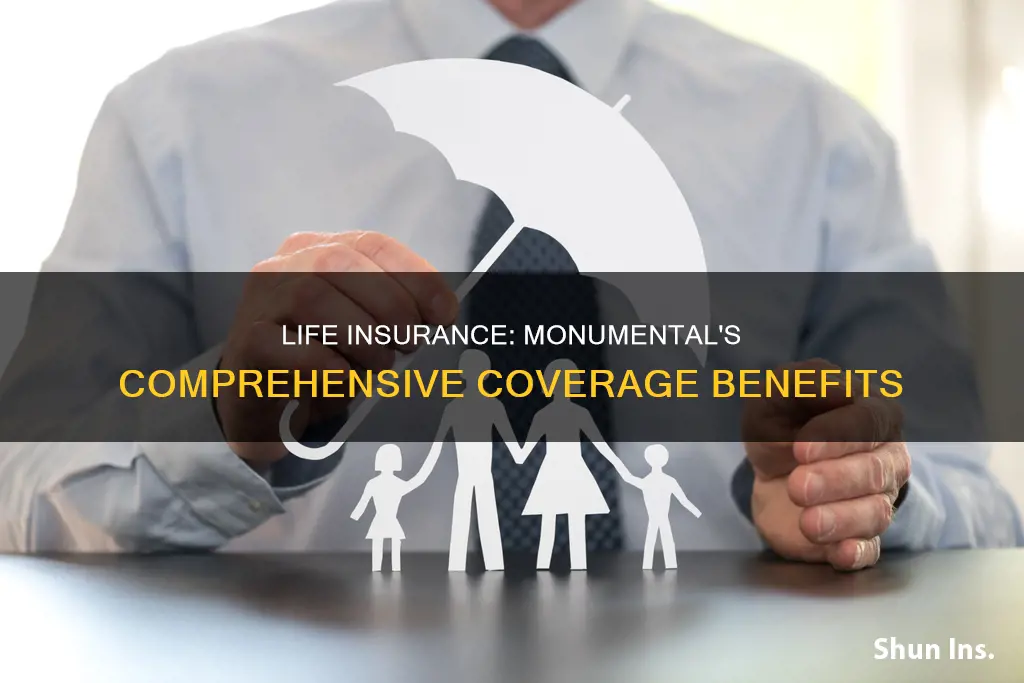 has monumental life insurance