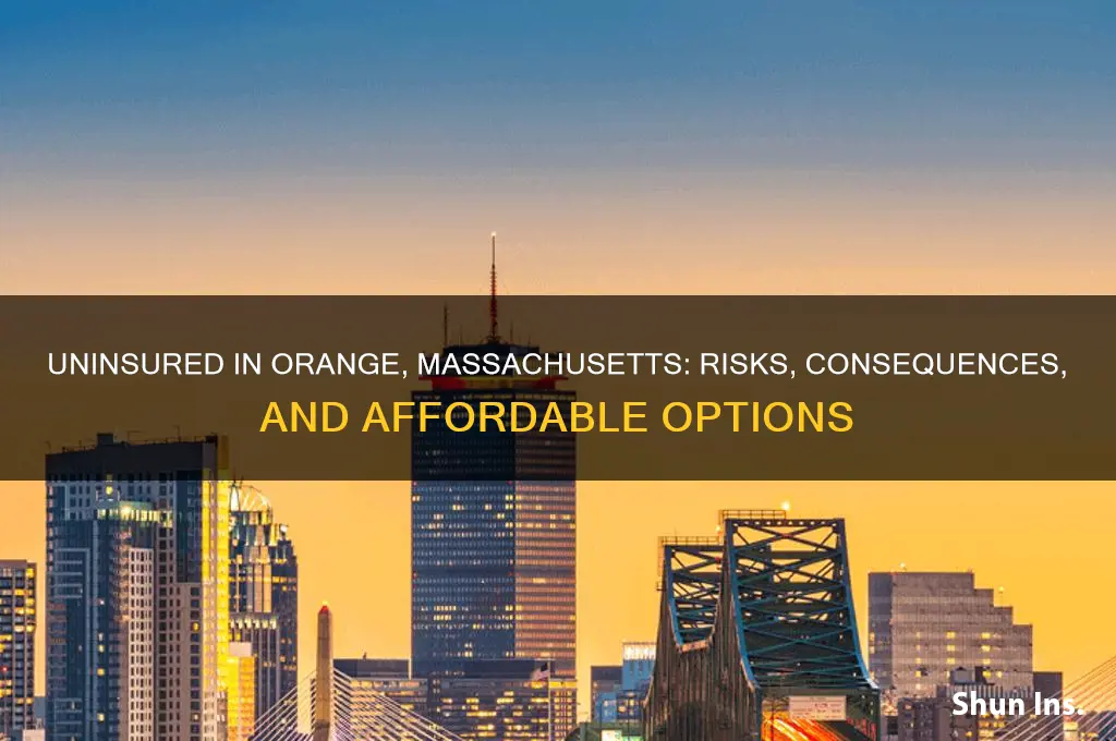 has no insurance orange mass