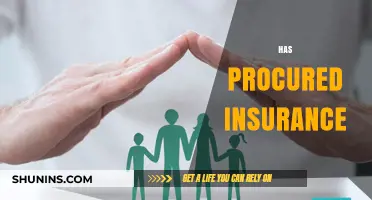 Securing Your Future: The Benefits of Procuring Insurance Today