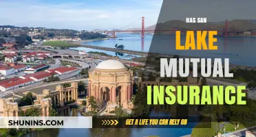 Exploring San Lake Mutual Insurance: Benefits, Coverage, and Customer Reviews