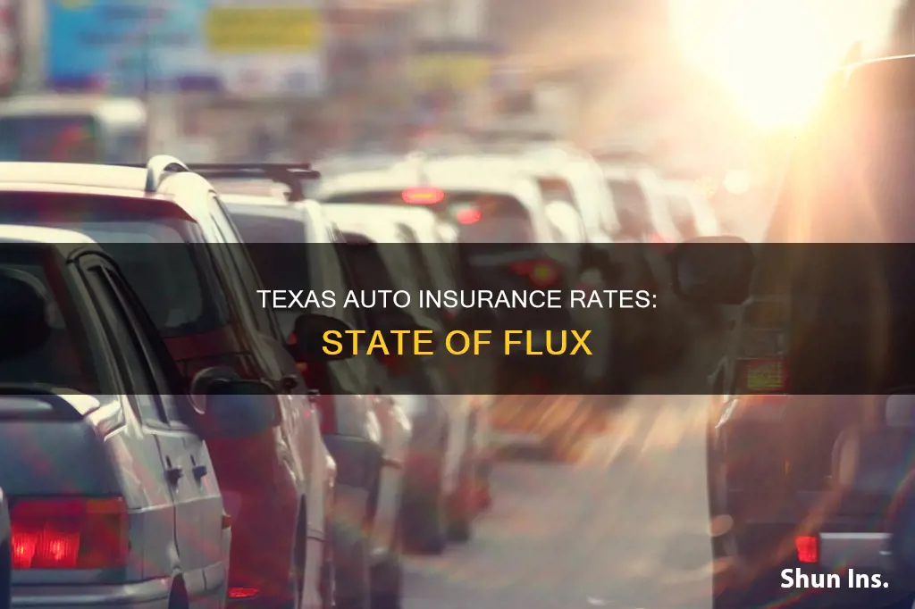 has texas had a state wide auto insurance rate increase