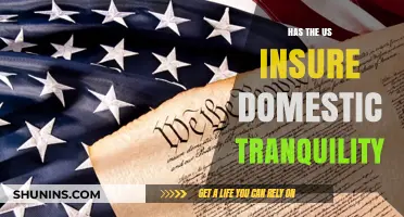 Has the US Ensured Domestic Tranquility? A Critical Analysis