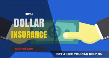 Secure Your Future with Affordable Dollar Insurance Plans Today