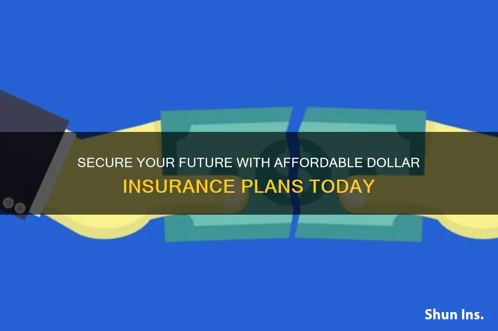 have a dollar insurance