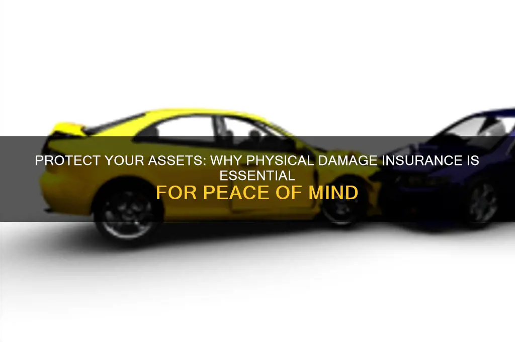 have a physical damage insurance with you