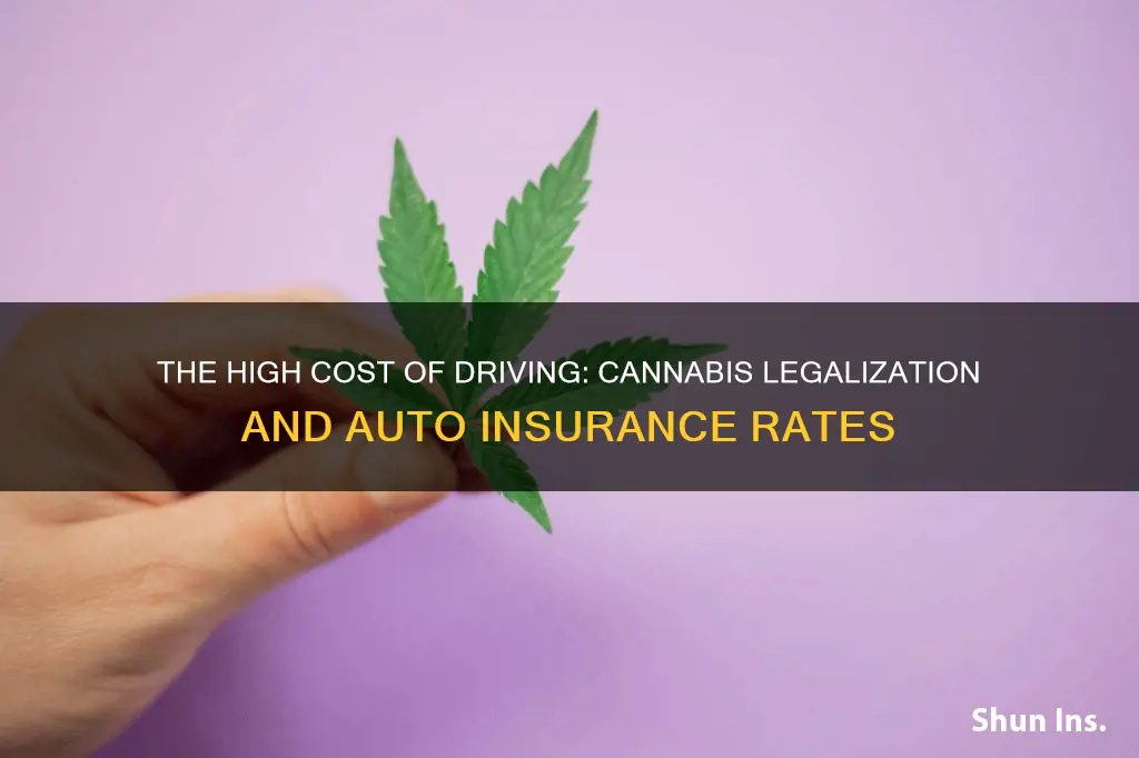 have auto insurance rates gone up due to legalized cannabis