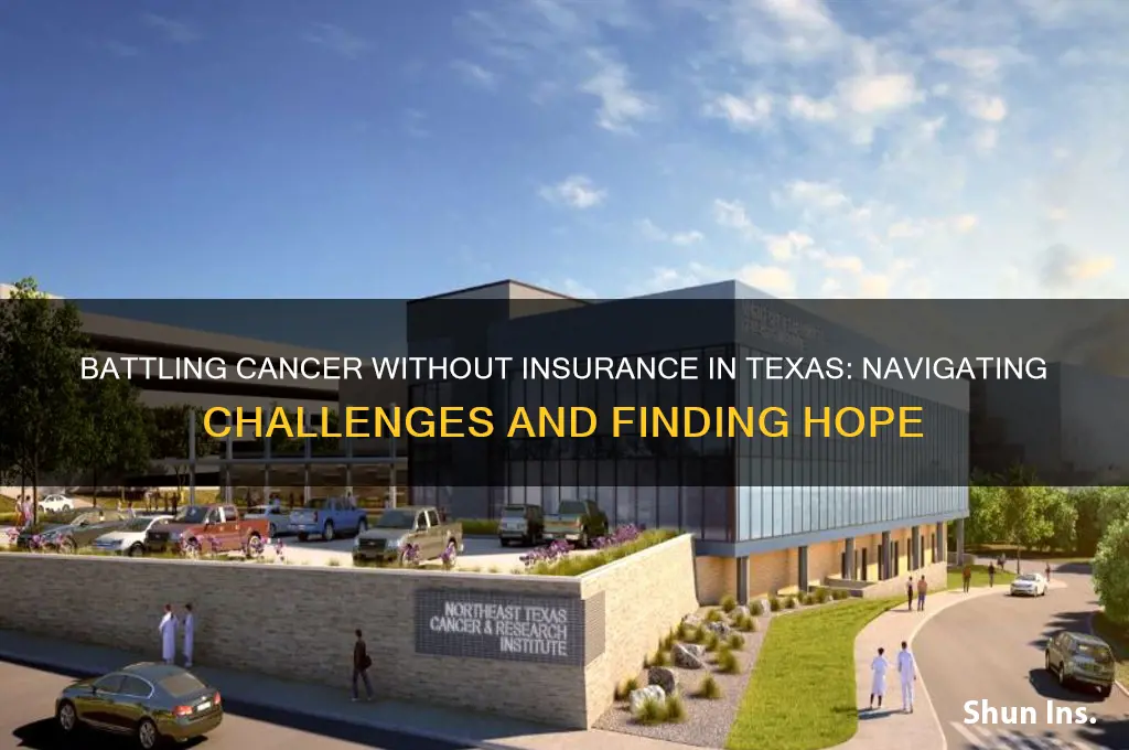 have cancer no insurance texas