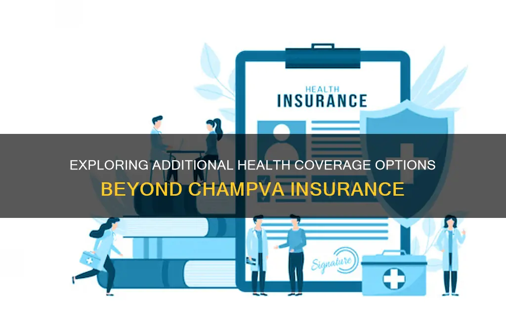 have champva insurance what other options are there