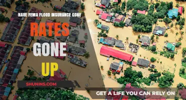 Flood Insurance Rates Surge: FEMA's New Price Hike