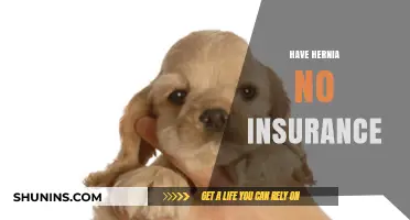 Hernia Without Insurance: Affordable Treatment Options and Financial Assistance