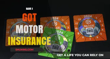 Do You Have Motor Insurance? Key Questions to Verify Your Coverage