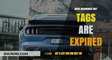 Expired Tags with Active Insurance: Risks, Consequences, and Quick Solutions