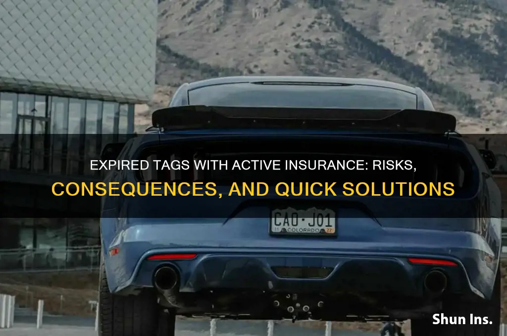 have insurance but tags are expired