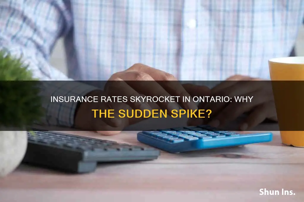 have insurance rates gone up in ontario