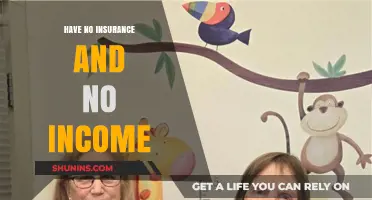 Surviving Without Insurance or Income: Strategies for Financial Stability