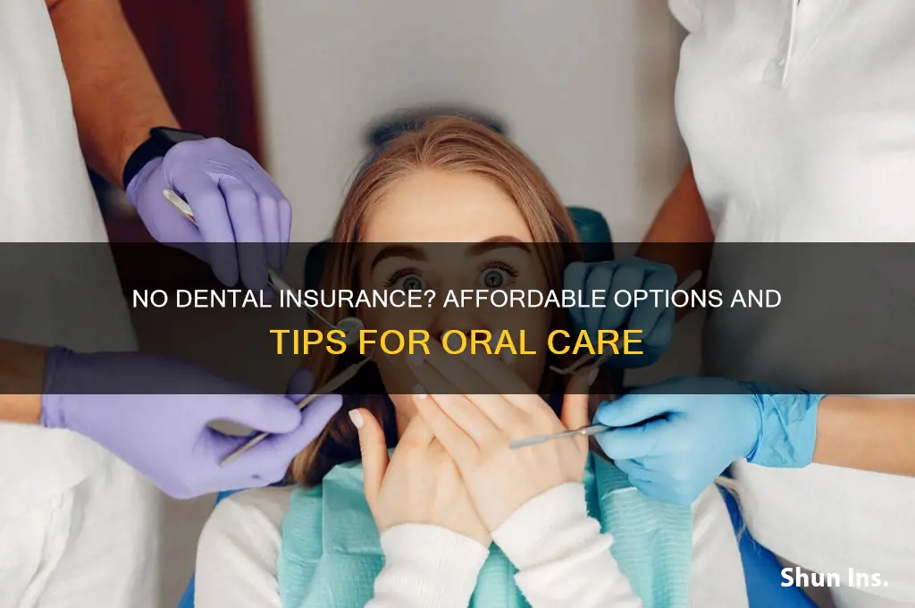 have no insurance for dentist