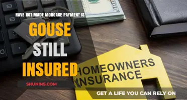Missed Mortgage Payments: Am I Still Covered?